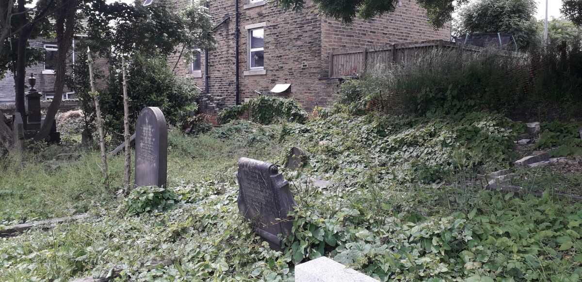 Tumbled down perimeter wall, bindweed and ivy 2021